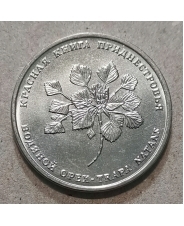 Приднестровье 1 рубль 2019 Водяной орех / Флора UNC