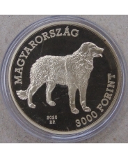 Венгрия 3000 форинтов 2025 Кувас, Венгерский кувас. арт. 5521